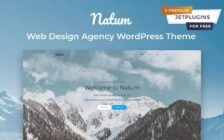 WordPress Kotisivut – Natum