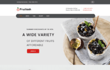 WordPress Kotisivut – Monstroid Fructesh