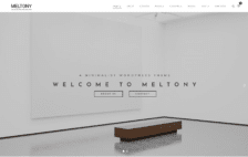 WordPress Kotisivut – Monstroid Meltony