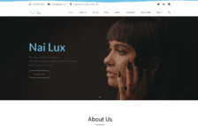 WordPress kotisivut - MegaStroid Nail-lux