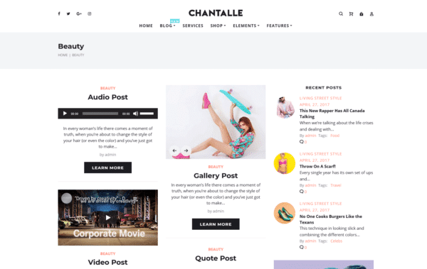 WordPress Kotisivut – Chantalle Clothes Store