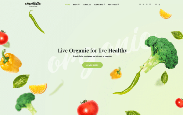 WordPress Kotisivut – Chantalle Organic Food