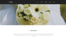 WordPress Kotisivut – Monstroid Wedding