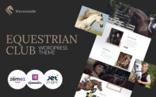 WordPress Kotisivut – Horsieside