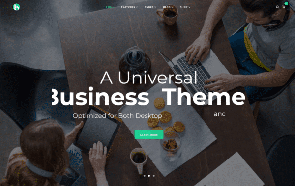 WordPress Kotisivut – Bryte Business