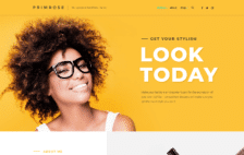 WordPress Kotisivut – Primrose Fashion Model