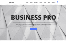 WordPress Kotisivut – Prioris