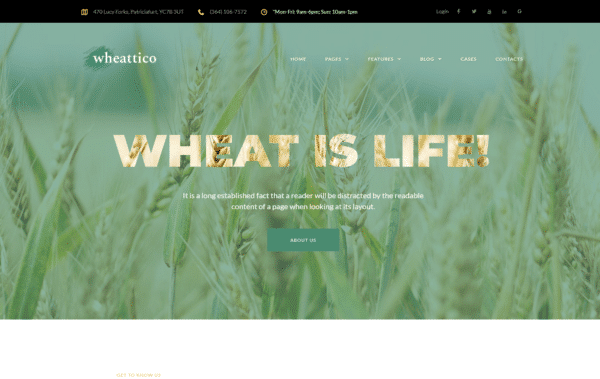 WordPress Kotisivut – Wheattico