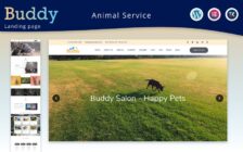WordPress Kotisivut – Buddy