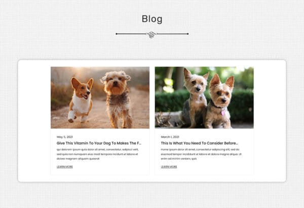 WordPress Kotisivut – PuppyLove